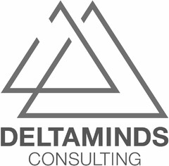 DELTAMINDS CONSULTING