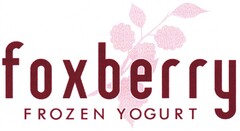 foxberry FROZEN YOGURT