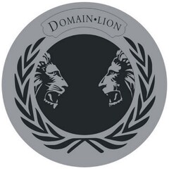DOMAIN·LION