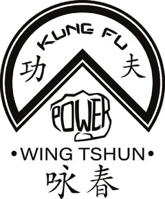 KUNG FU POWER WING TSHUN