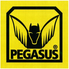 PEGASUS