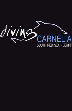 diving CARNELIA SOUTH RED SEA - EGYPT