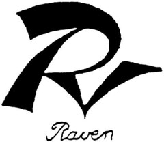 Rv Raven
