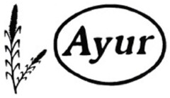 Ayur