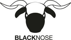 BLACKNOSE