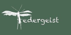 Federgeist