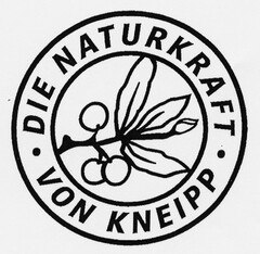 DIE NATURKRAFT VON KNEIPP