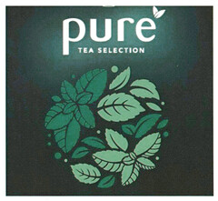 pure TEA SELECTION