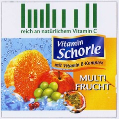 Vitamin Schorle mit Vitamin B-Komplex