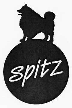 spitz