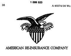 AMERICAN PROTECTION AMERICAN RE-INSURANCE COMPANY