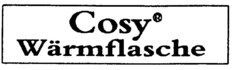 Cosy Wärmflasche