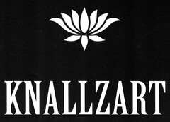 KNALLZART