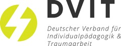 DVIT Deutscher Verband für Individualpädagogik & Traumaarbeit