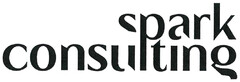 spark consulting