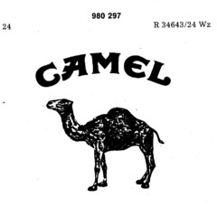 CAMEL