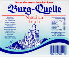 Burg-Quelle