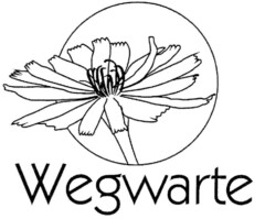 Wegwarte