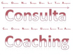 Consulta Coaching