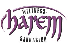 WELLNESS - SAUNACLUB harem