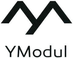 M YModul