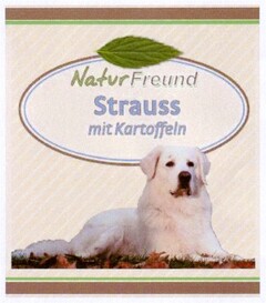 NaturFreund Strauss mit Kartoffeln