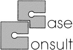 CASE CONSULT