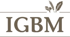 IGBM