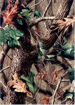 REALTREE hardwoods