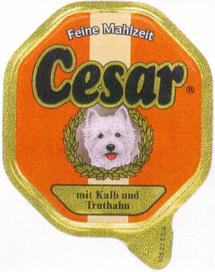 Feine Mahlzeit Cesar mit Kalb und Truthahn