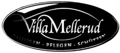 Villa Mellerud REINIGEN PFLEGEN SCHÜTZEN