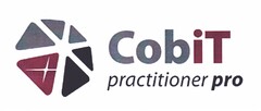 CobiT practitioner pro