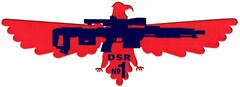 DSR No1