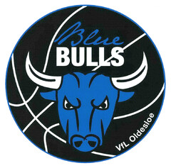Blue BULLS VfL Oldesloe