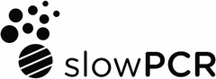 slowPCR