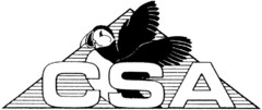 CSA