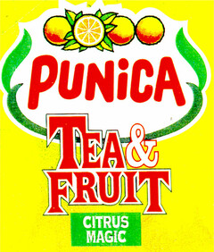 PUNICA TEA & FRUIT CITRUS MAGIC