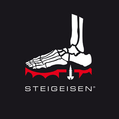 STEIGEISEN