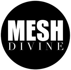 MESH DIVINE