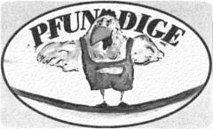 PFUNDIGE