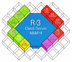 R/3 Client Server ABAP/4