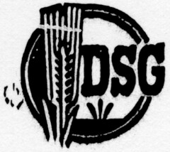 DSG