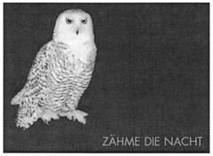 ZÄHME DIE NACHT