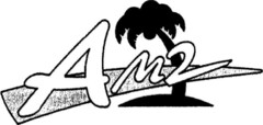 AM2