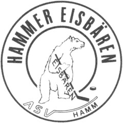 HAMMER EISBÄREN