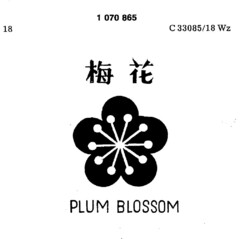 PLUM BLOSSOM