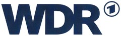 WDR 1