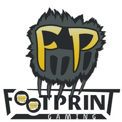 FP FOOTPRINT GAMING