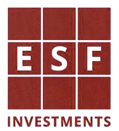 ESF INVESTMENT