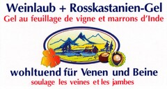Weinlaub + Rosskastanien-Gel wohltuend für Venen und Beine
